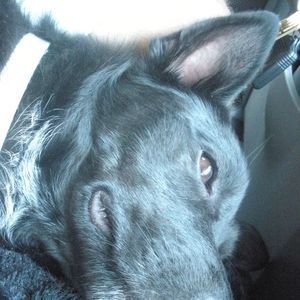 Meet your Posher, Wendy